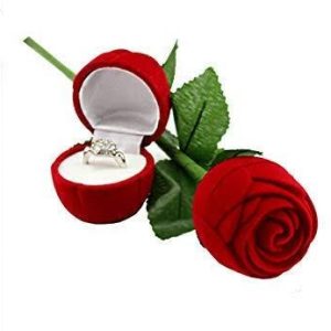 Red Rose With Leaf Ring Jewelry Box Pakistan