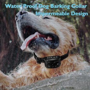 Dog Training Collars With Beep Rechargeable Water Proof Pakistan