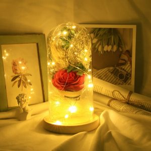 LED Night Light Artificial Rose Glass Shade String Light Home Pakistan